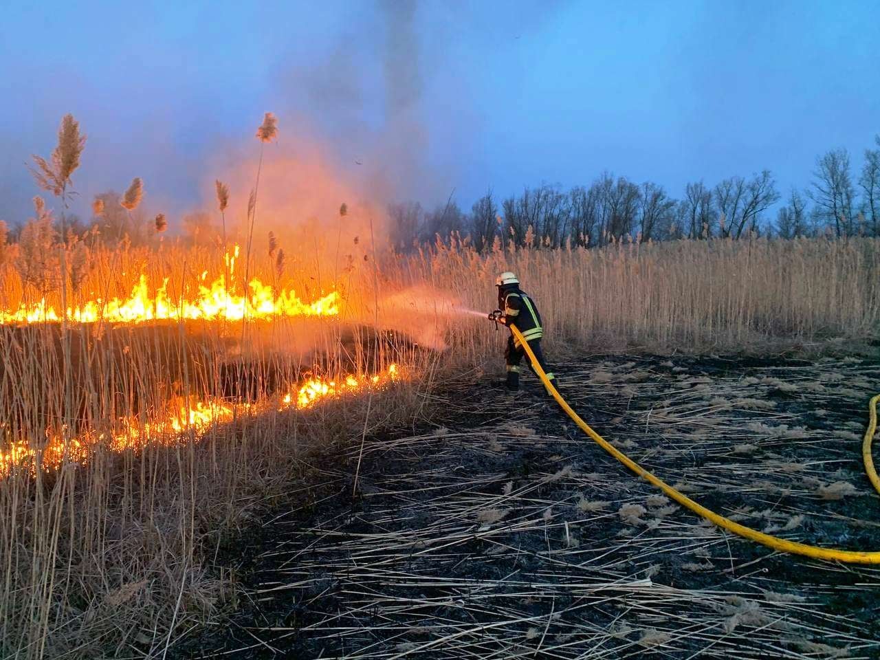 Попри заборону палити сухостій, Україна просто палає
