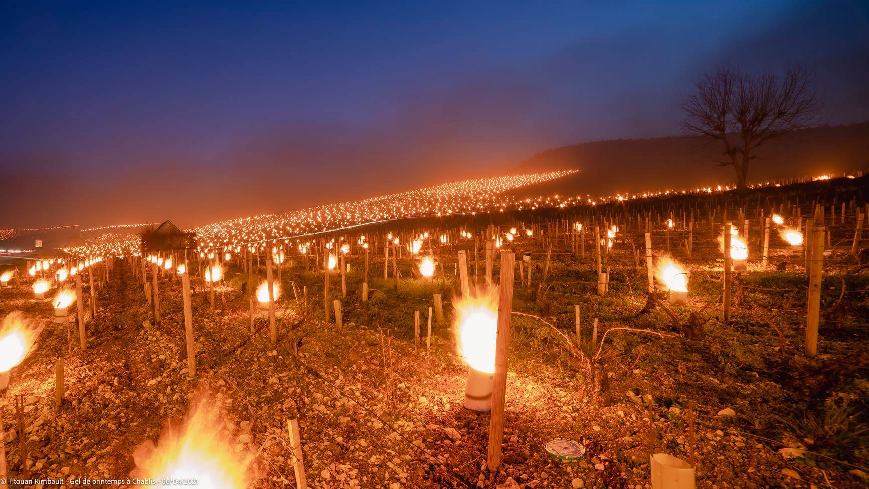 Вражаючі кадри: у Франції фермери запалили тисячі багать, аби врятувати виноградники