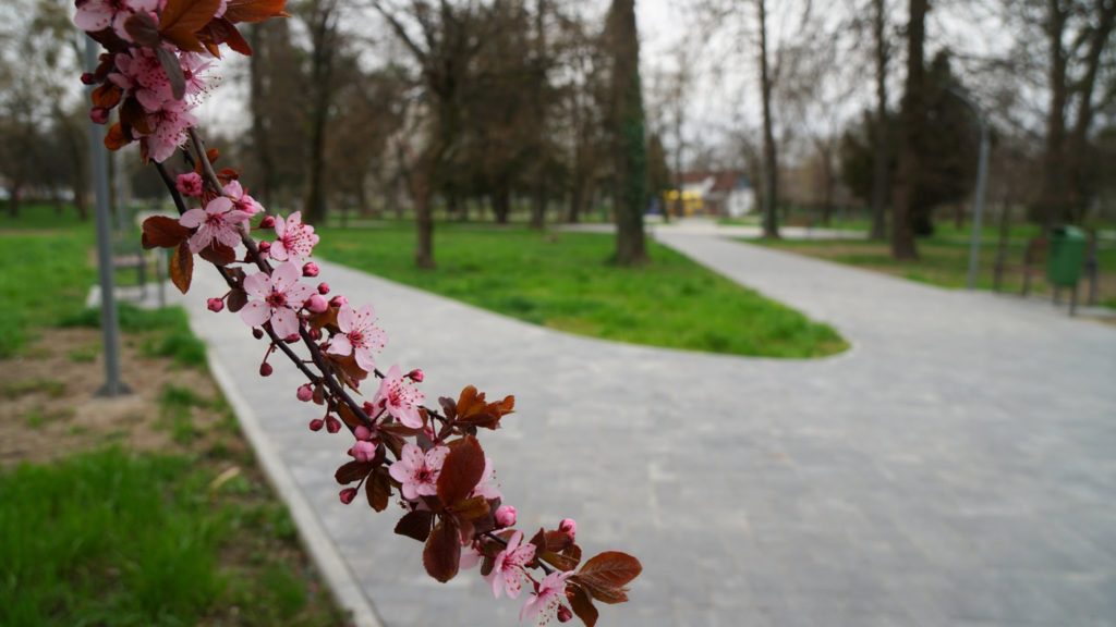 Наступного місяця у Мукачеві відкриють оновлений парк ім. Андрія Кузьменка