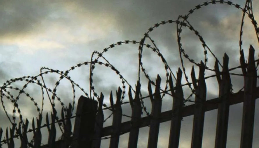 У Виноградівському ізоляторі тимчасового тримання знайшли мертве тіло - ЗМІ