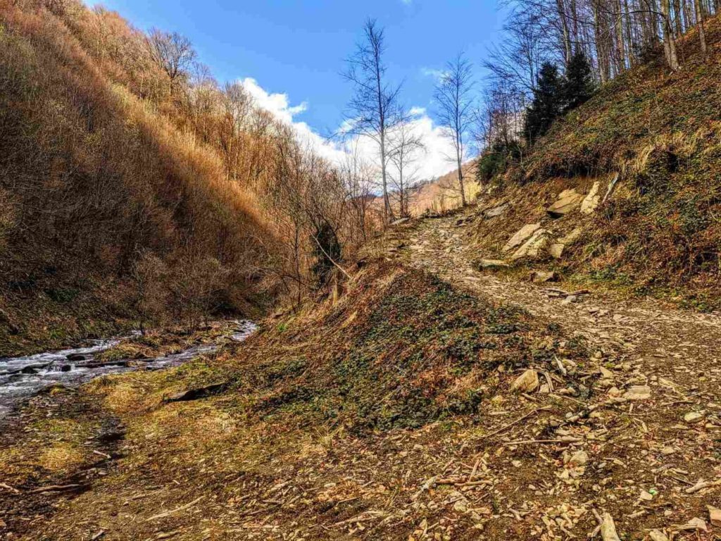 Карпати, Гемба, рятувальники, тіло, киянин, заблукалий, турист, пошуки