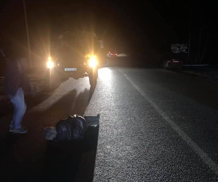 ДТП на Хустщині: водій автомобіля збив пішохода