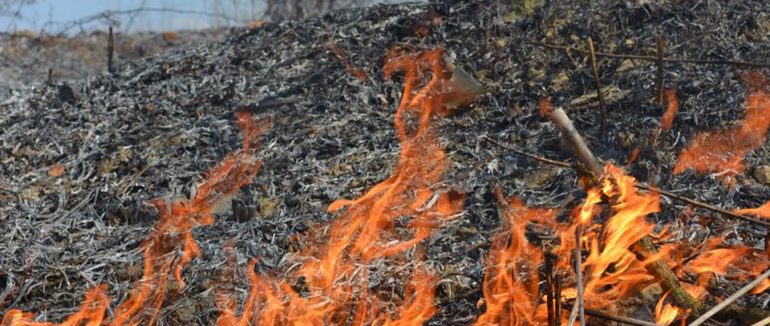 Постраждала в реанімації: на Мукачівщині 49-річна жінка травмувалася під час спалювання сухостою