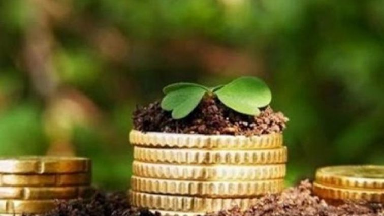 У першому кварталі закарпатці сплатили майже 110 млн грн за землю