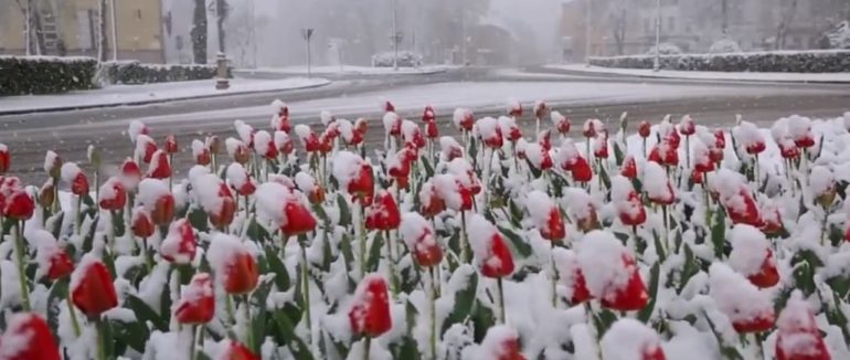 Хорватію засипало снігом: найсильніший снігопад біля узбережжя Адріатичного моря.