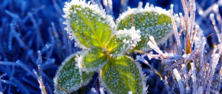 В Закарпатській області оголошено штормове попередження