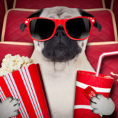 Наше, українське: 5 україномовних фільмів, які варто подивитися