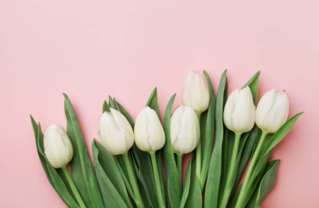 Великдень та День праці: скільки відпочиватимуть українці у травні