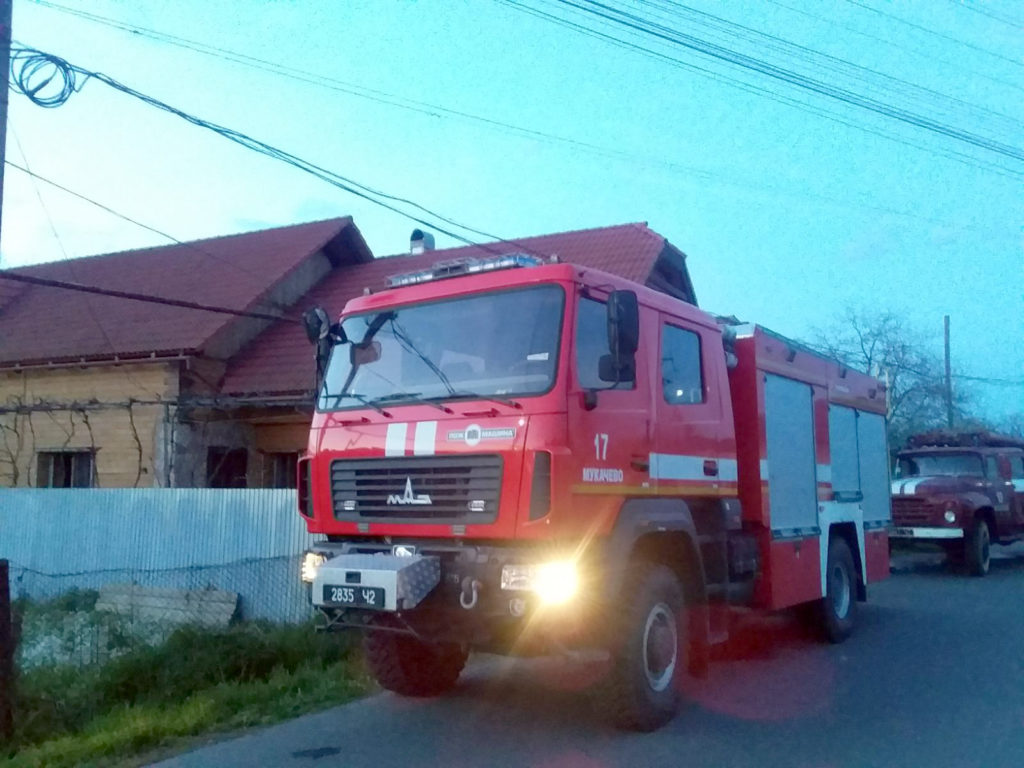 Закарпаття, Мукачівщина, пожежа, зитки, ліквідація, рятувальники