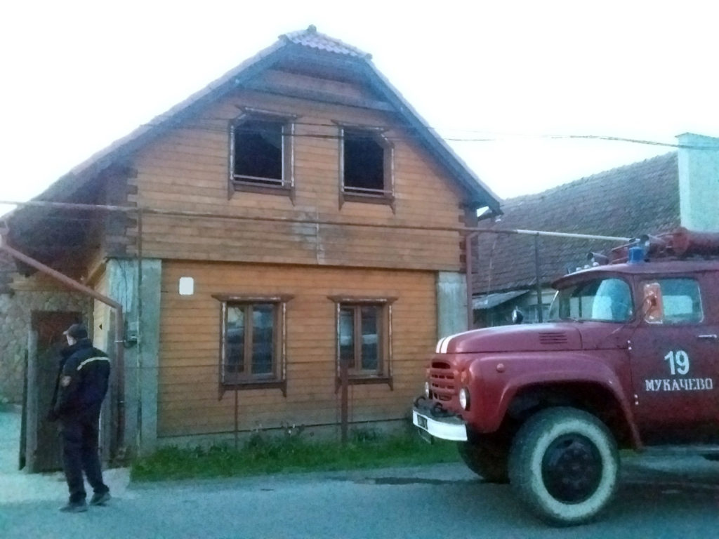 Закарпаття, Мукачівщина, пожежа, зитки, ліквідація, рятувальники