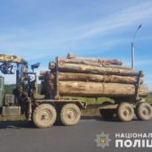 На Закарпатті відкрито понад два десятки кримінальних проваджень у сфері лісового господарства