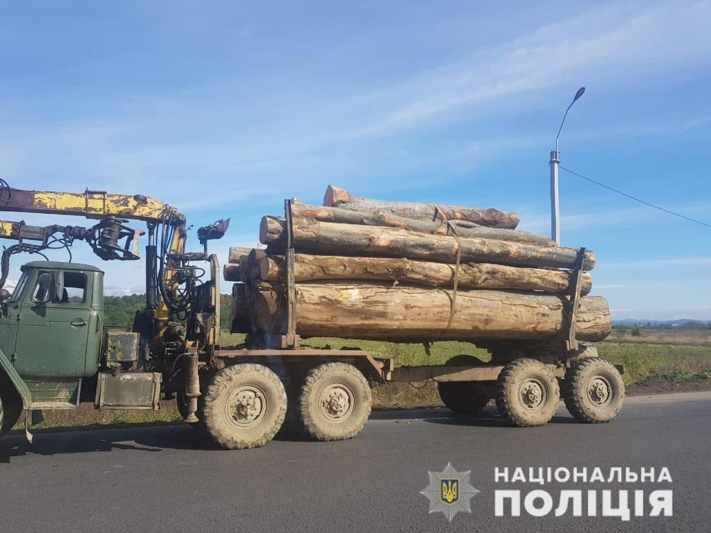 На Закарпатті відкрито понад два десятки кримінальних проваджень у сфері лісового господарства