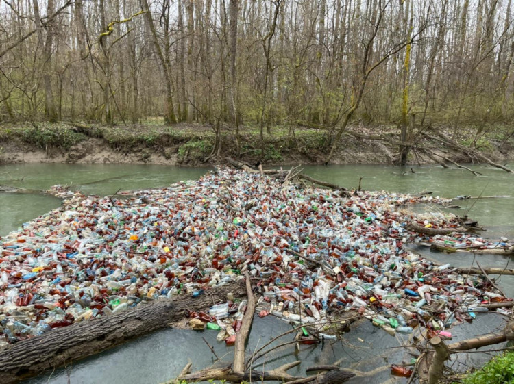 Засмічена Боржава: на водоймі виявили 10 сміттєвих заторів