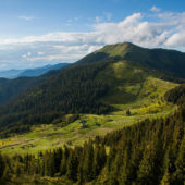 Громади Закарпаття самостійно визначатимуть напрямки використання залишків освітньої субвенції