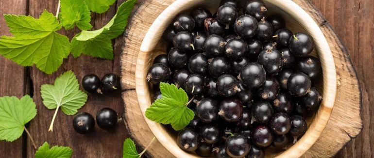 В Україні прогнозують зростання попиту на чорну смородину