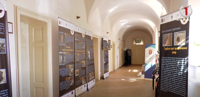 В Ужгороді триває виставка кажанів