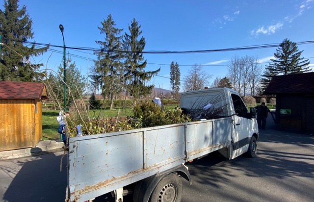 У Мукачеві висадили понад 900 саджанців