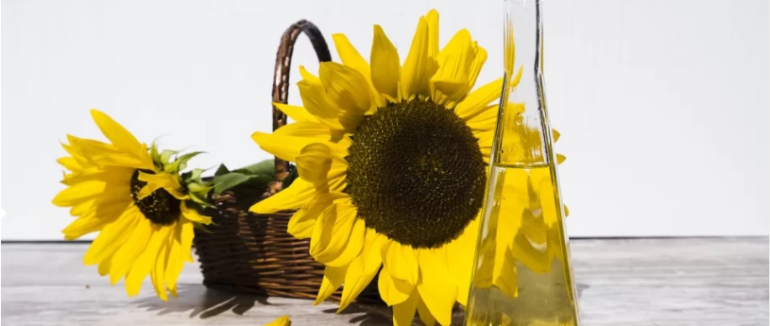 Соняшникова олія рекордно подорожчала. Як і коли зміниться її вартість