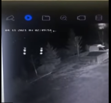 В соцмережах поширюють відеоспостереження де зафіксували НЛО на Закарпатті