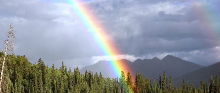 Погода на Закарпатті 17 травня: на що чекати сьогодні