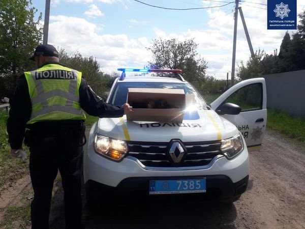 В Ужгороді поліцейські врятували п’ятьох покинувши цуценят