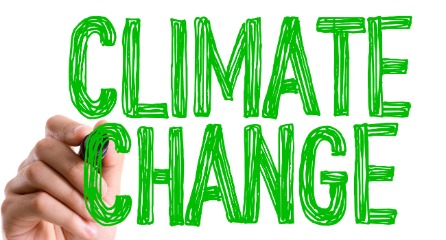 15 травня – Міжнародний день захисту клімату