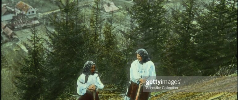 Як садили картоплю на Рахівщині: у мережі поширили світлину часів Чехословаччини