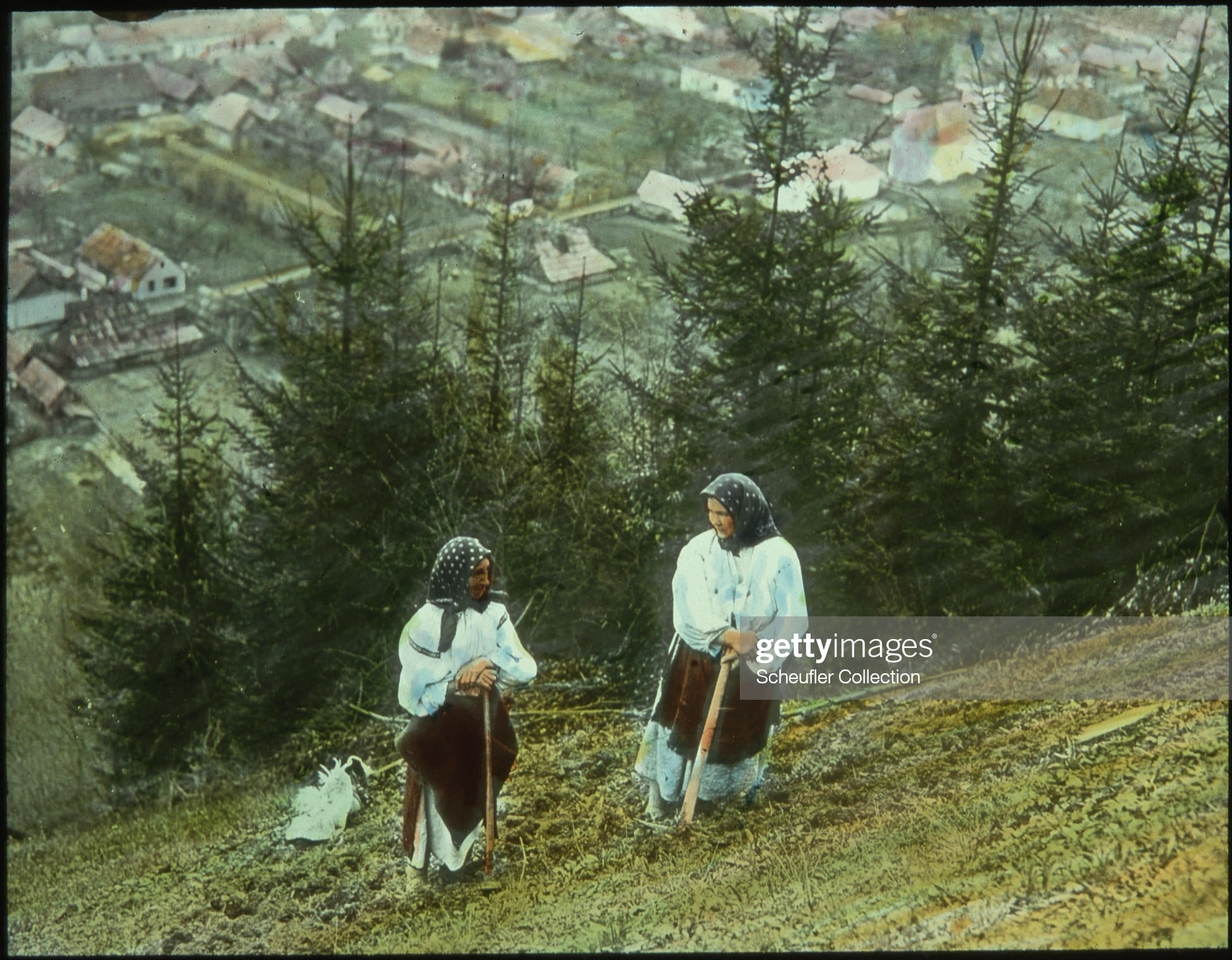 Як садили картоплю на Рахівщині: у мережі поширили світлину часів Чехословаччини