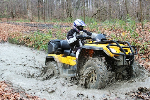 “Джипінг» на Закарпатті: фракція «ОП-ЗЖ» в облраді ініціювала розгляд цього питання
