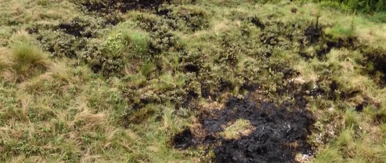 Згорів до тла: у Карпатах миттєво загорівся чоловік