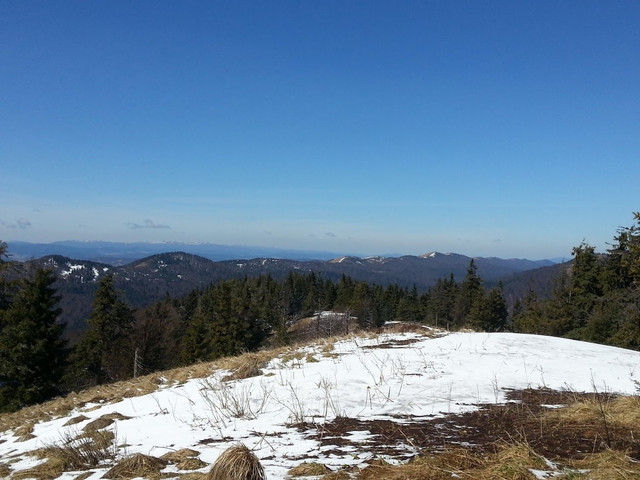 На Закарпатті в горах заблукала група з 4 туристів