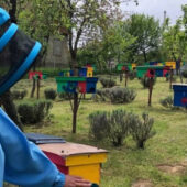 Розмноження карпатської бджоли: цим займаються пасічники із Загаття на Закарпатті