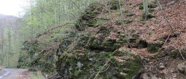 Гірські місця регіону: на Перечинщині збереглась віковічна геологічна пам’ятка