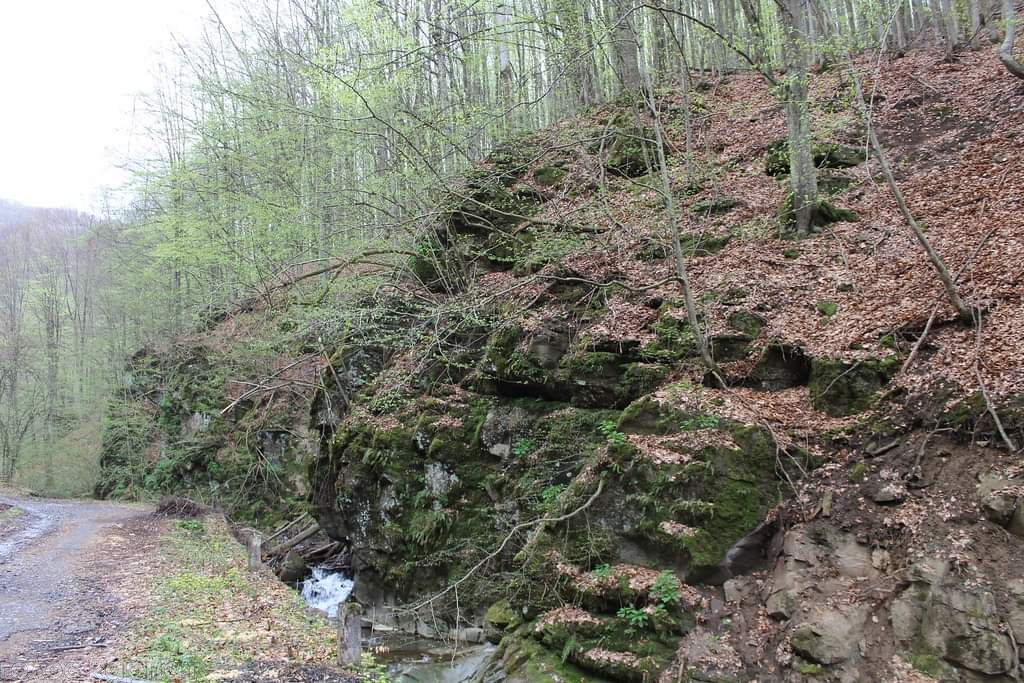 Гірські місця регіону: на Перечинщині збереглась віковічна геологічна пам’ятка