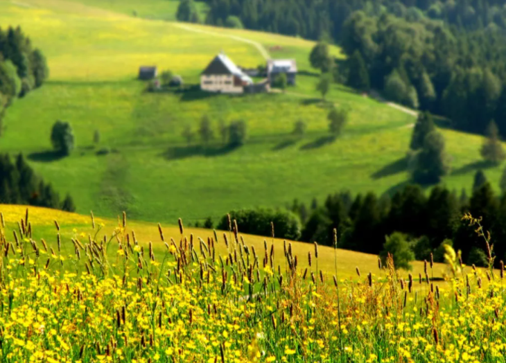 Якою буде погода на Закарпатті в перший тиждень літа