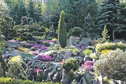 Найбільша в Україні: велика приватна альпійська гірка знаходиться в Кам’яниці