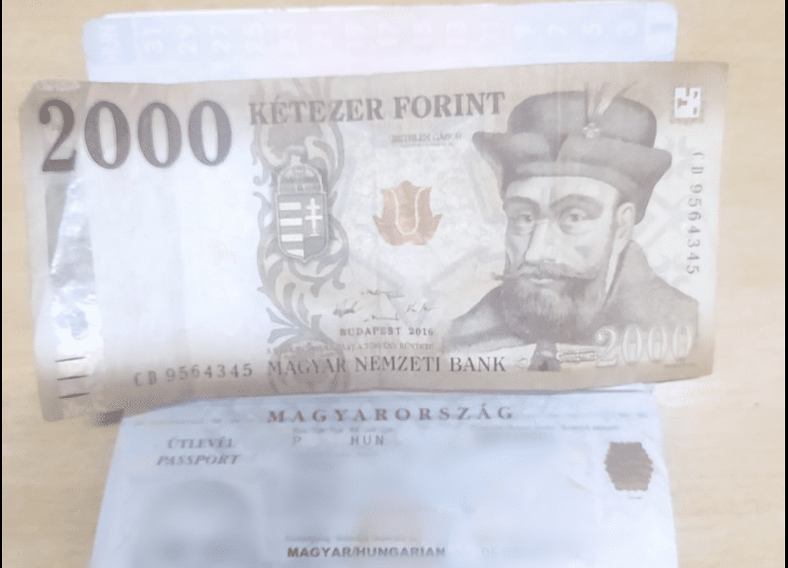 22 кримінальних правопорушень зафіксували впродовж місяця на закарпатських кордонах