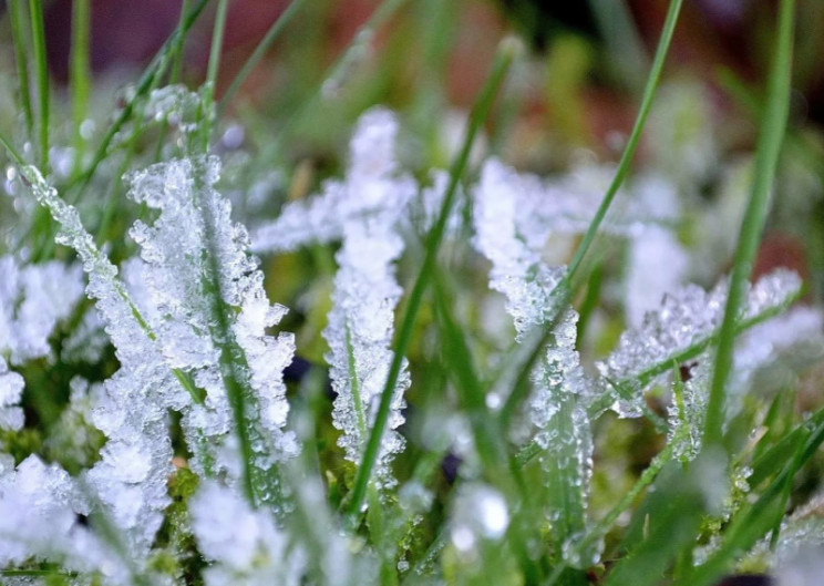 Початок тижня на Закарпатті розпочнеться із заморозків