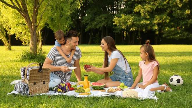 Що взяти з собою на пікнік: список необхідних речей та продуктів