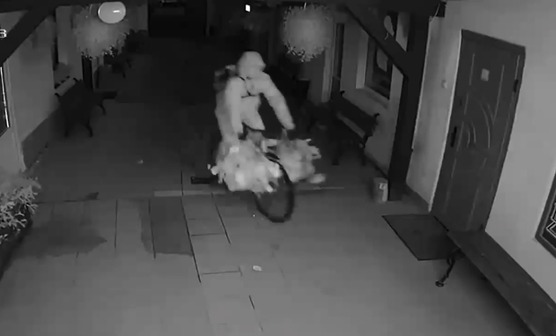 Романтичний крадій: в центрі Ужгорода чоловік вкрав горшки з квітами і зник