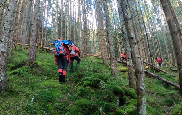 Нічні пошуки: на Міжгірщині заблукала туристка