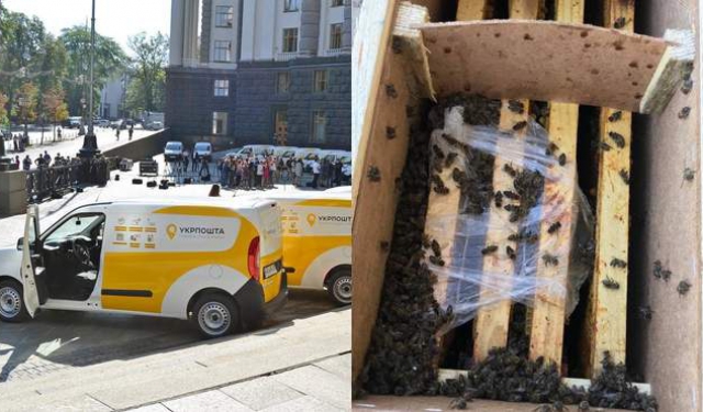 Покинуті закарпатські бджоли вже другу добу перебувають на складі Укрпошти