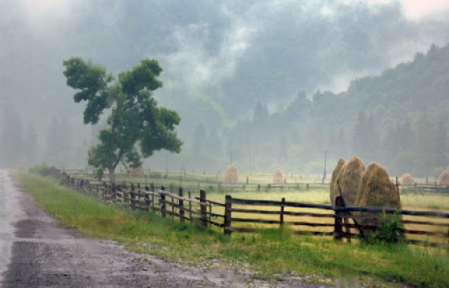 Останній тиждень весни на Закарпатті: що очікувати від погоди