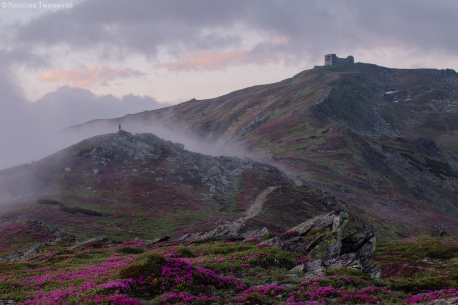 На гору піп Іван Чорногірський прийшло потепління