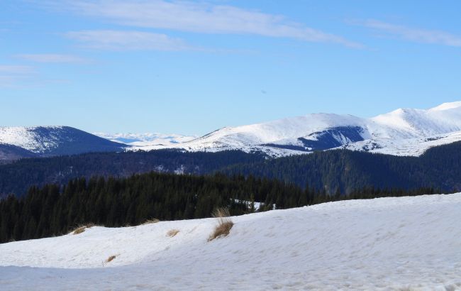 На календарі вже травень, а Карпати надалі засипає снігом
