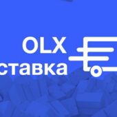Не лише гарно, але й цікаво: інфографіка, що візуалізує роботу OLX Доставка