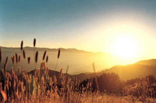 На Закарпатті настане по-справжньому сонячна та літня погода