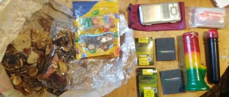 Закарпатку та жителя Донеччини судитимуть за збут галюциногенних грибів