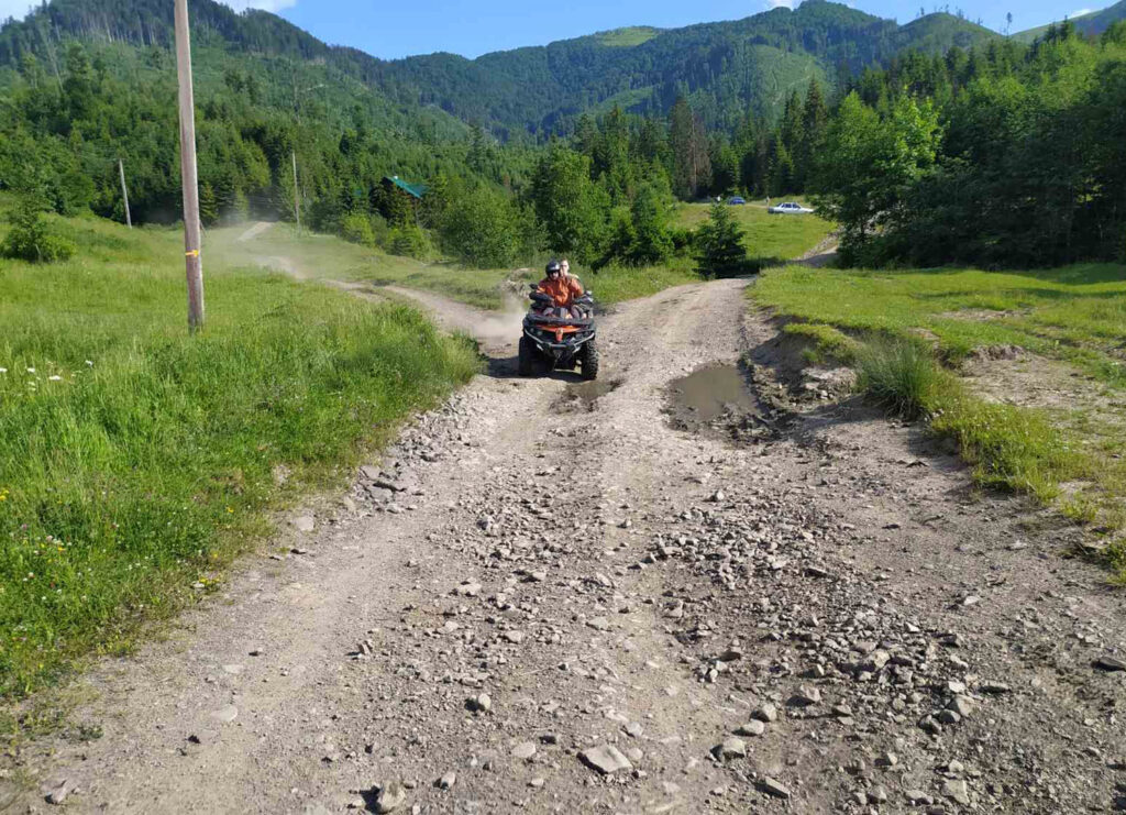 Закарпаття, гора Плай, турист, львів'янин, укус, змія