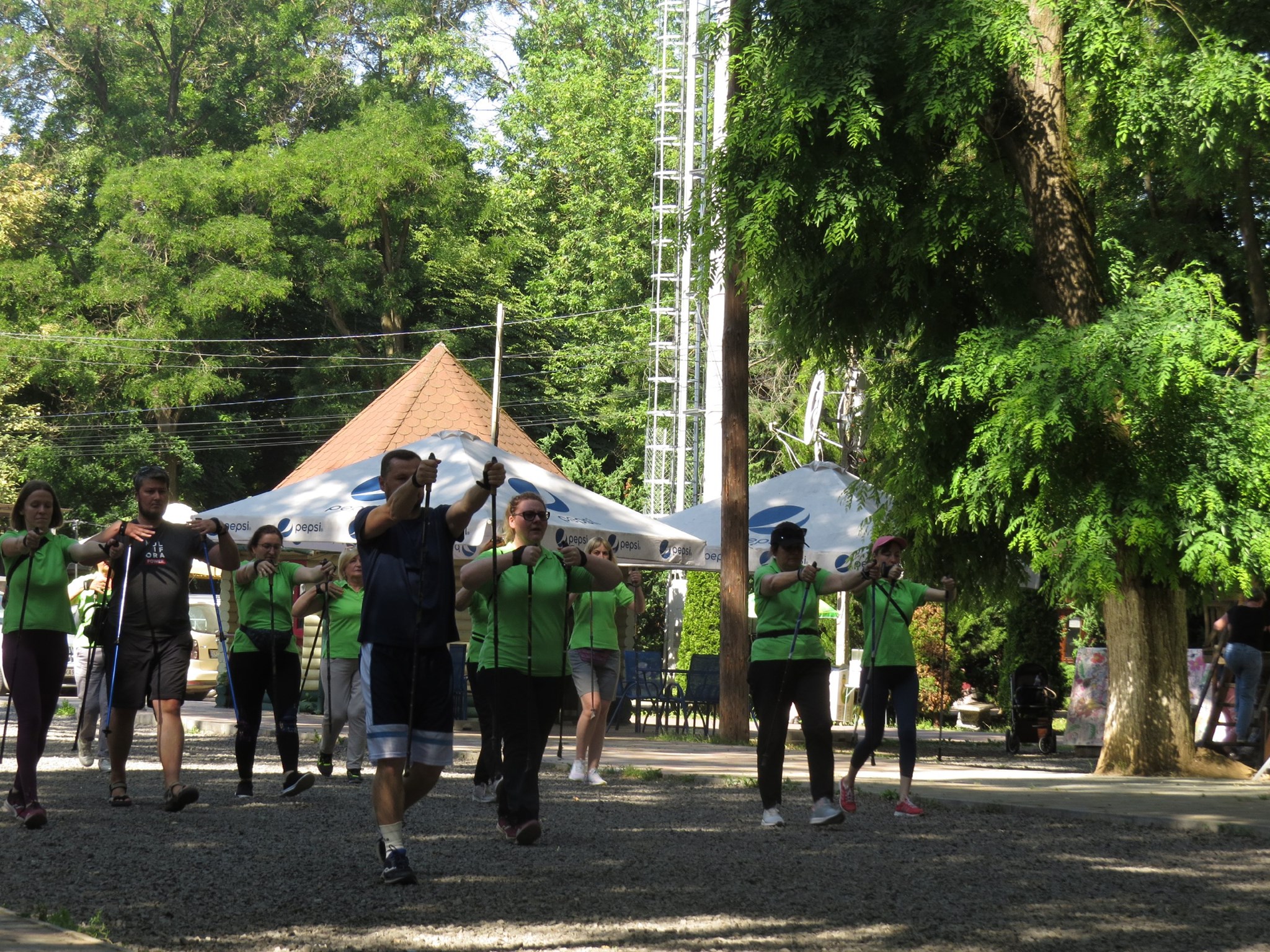 Всеукраїнський флешмоб: Ужгород долучився до встановлення рекорду зі скандинавської ходьби